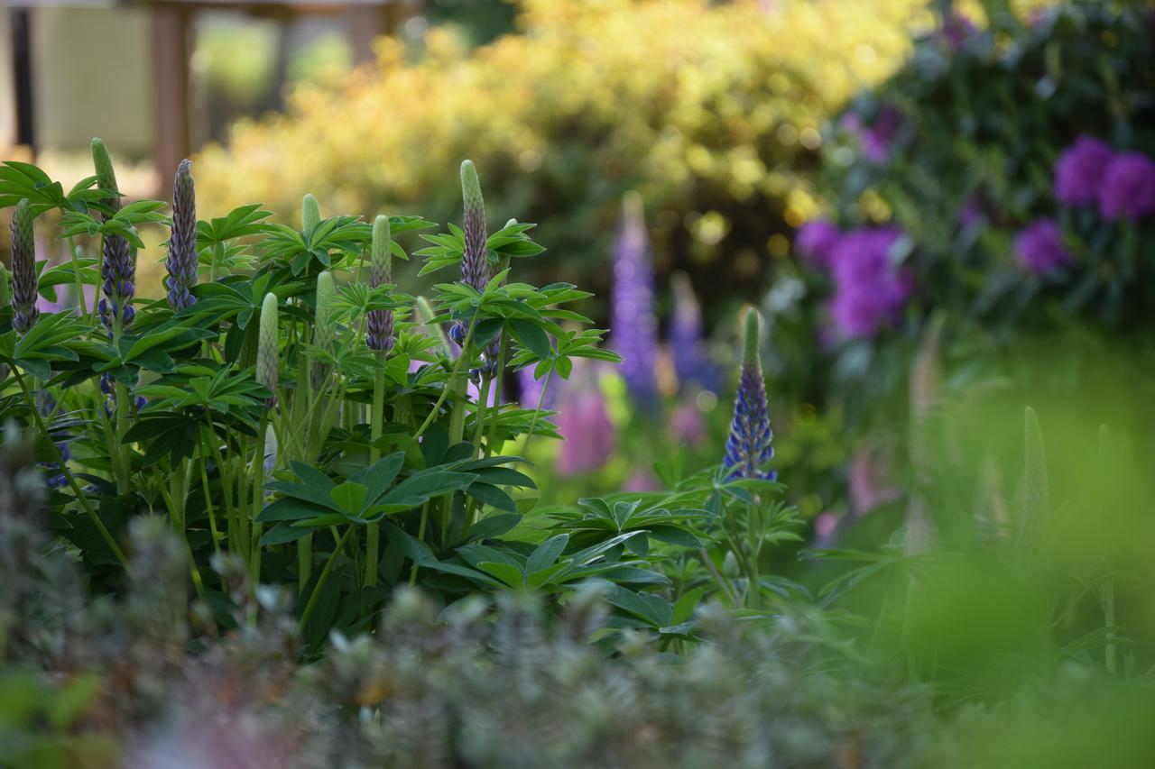 Willows Bed & Breakfast Pitlochry Esterno foto