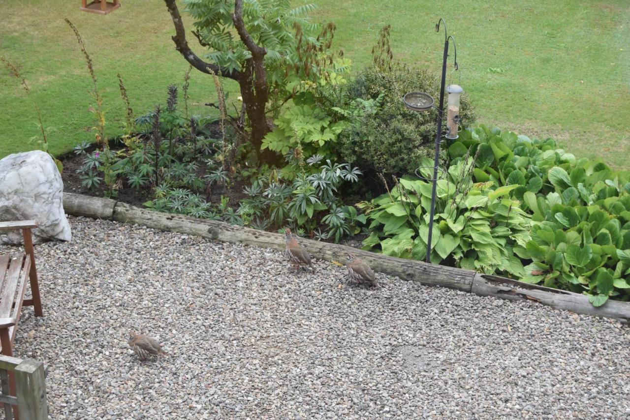 Willows Bed & Breakfast Pitlochry Esterno foto
